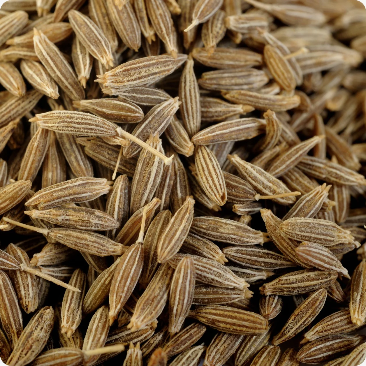 Cumin